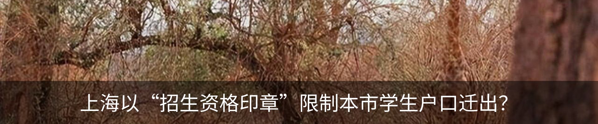 资讯动态