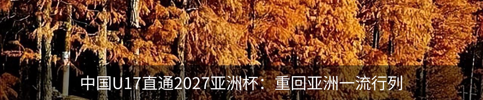 资讯动态