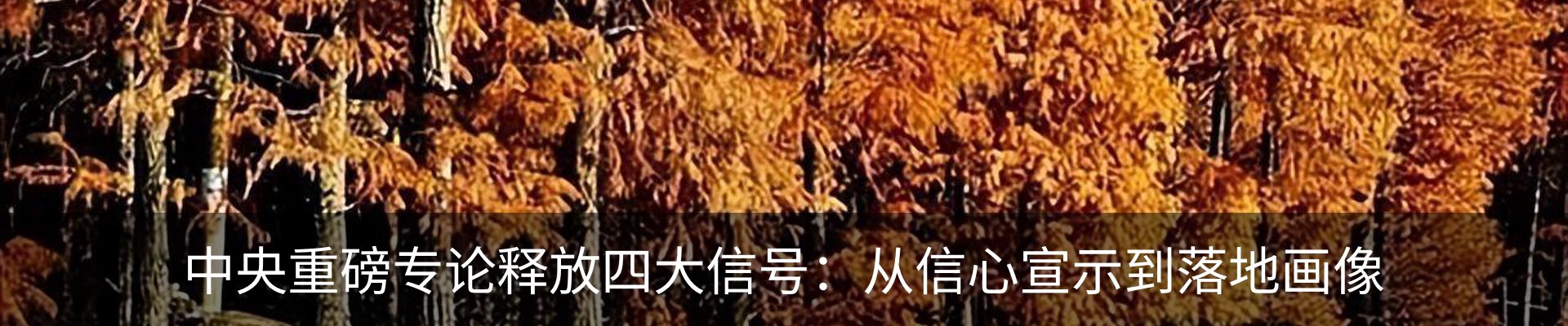 资讯动态