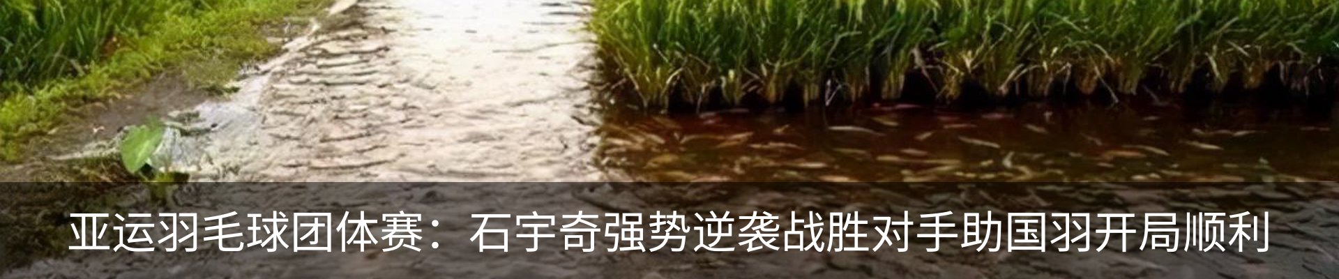 资讯动态