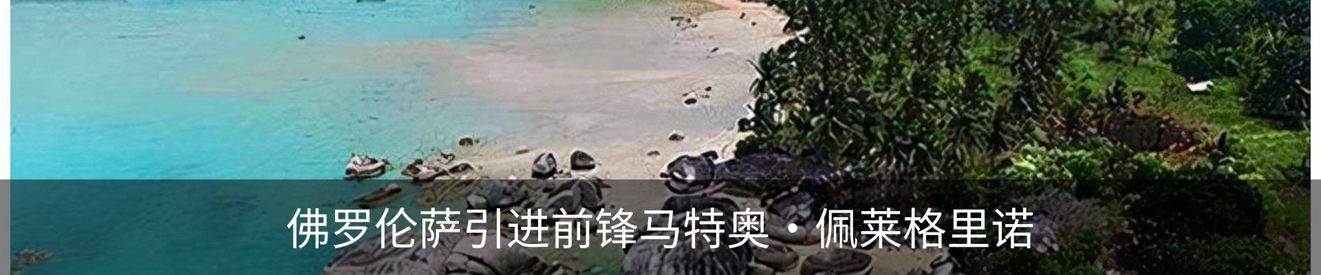 资讯动态