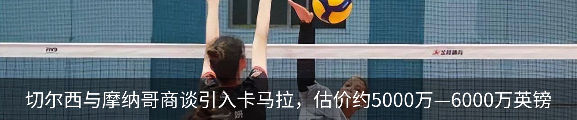 资讯动态