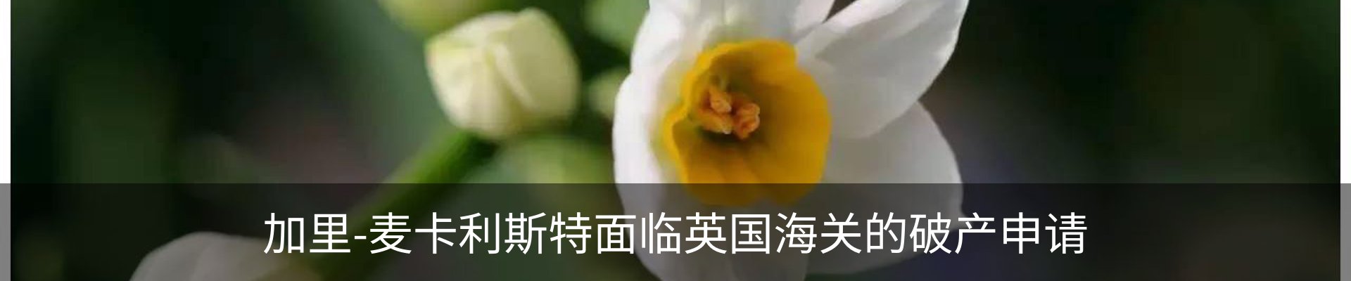 资讯动态