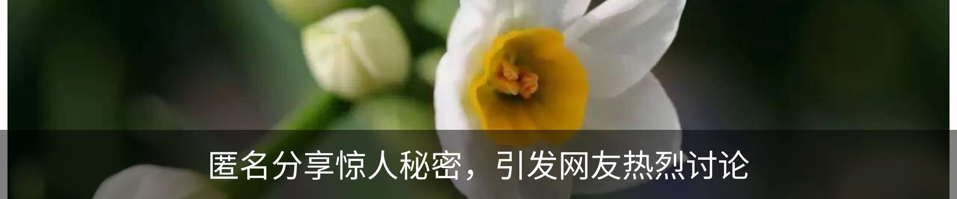 资讯动态