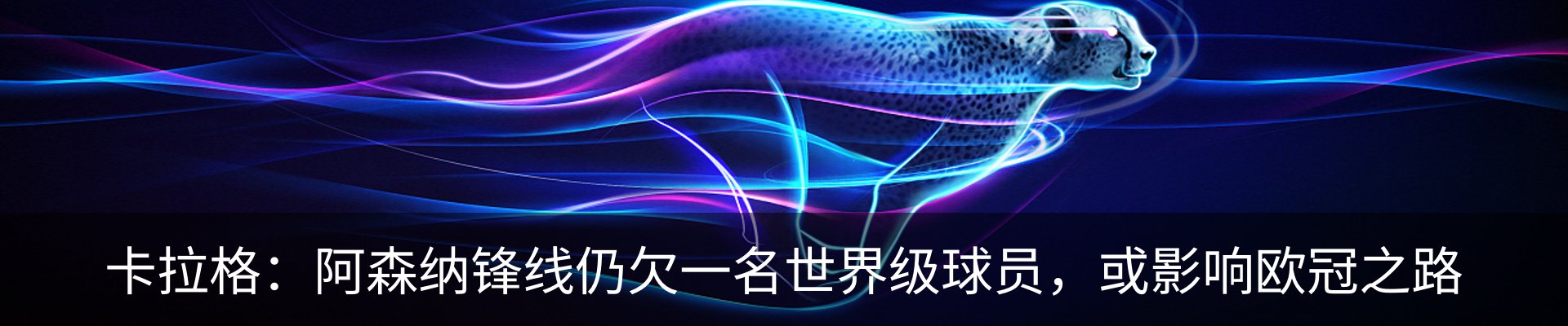 资讯动态