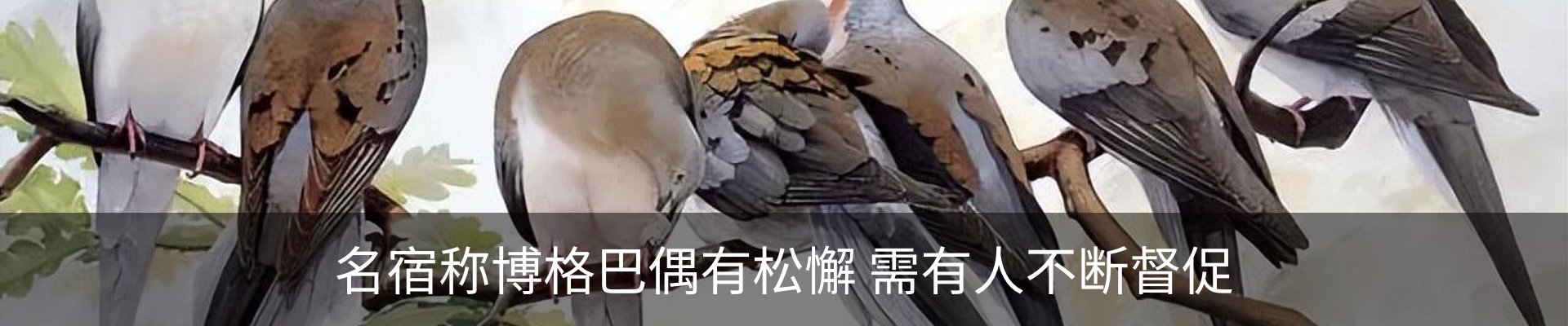 资讯动态