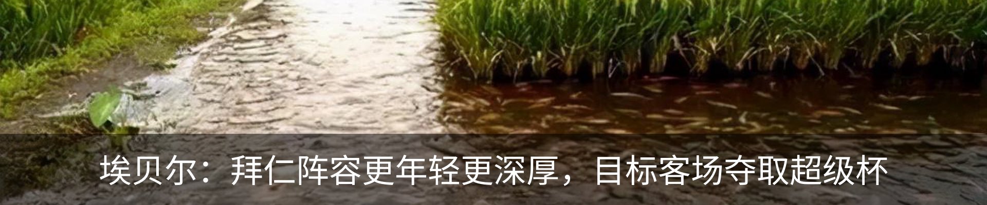 资讯动态