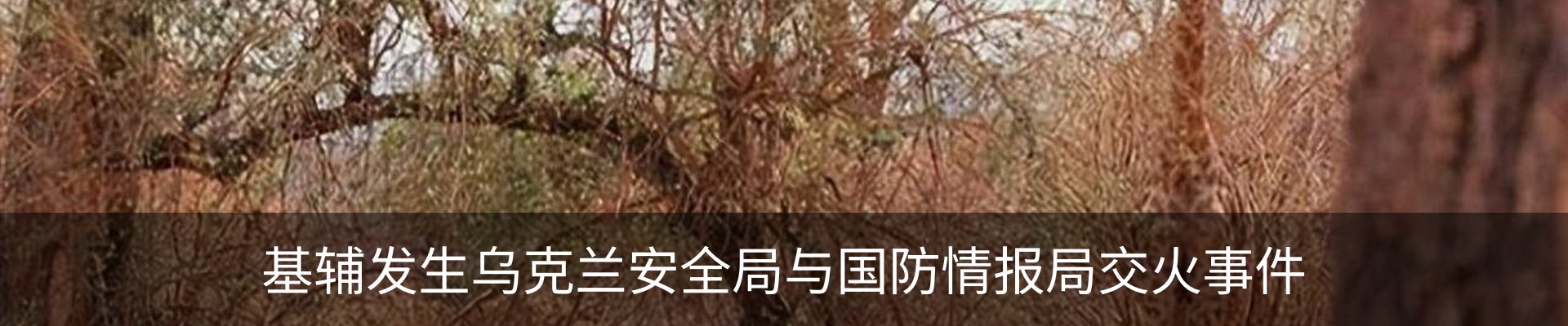 资讯动态