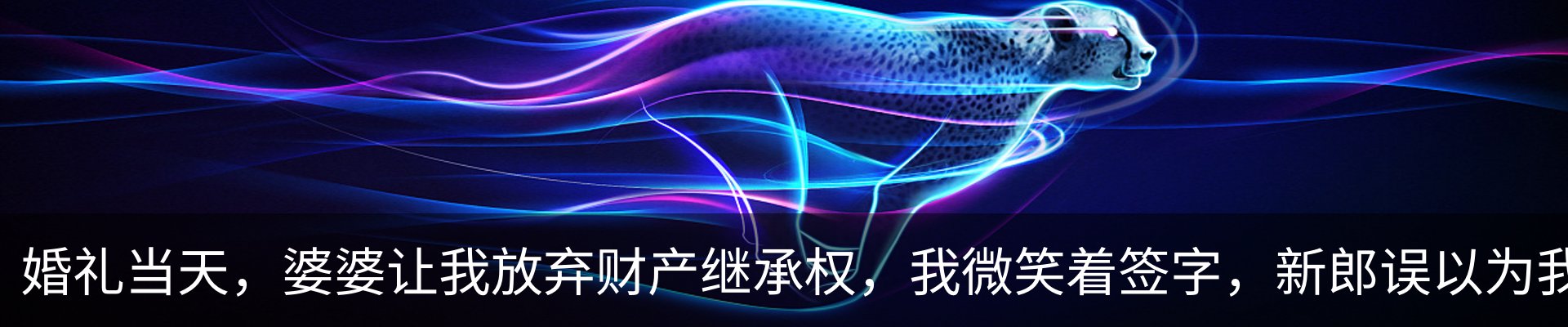 资讯动态