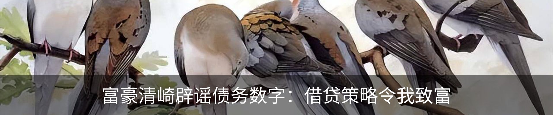 资讯动态