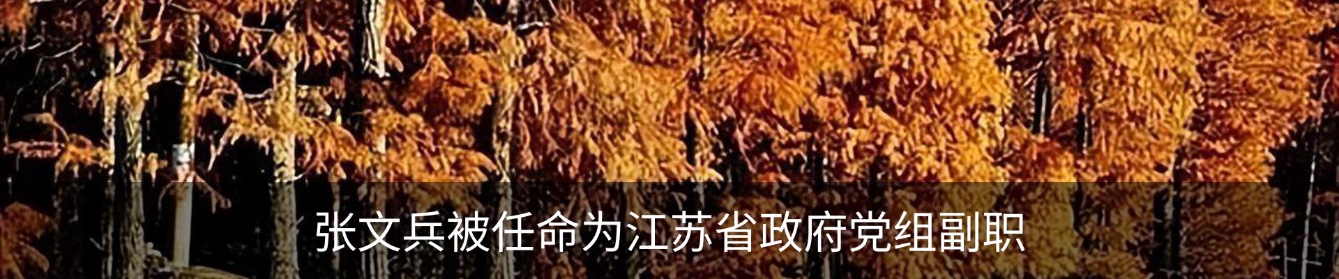 资讯动态