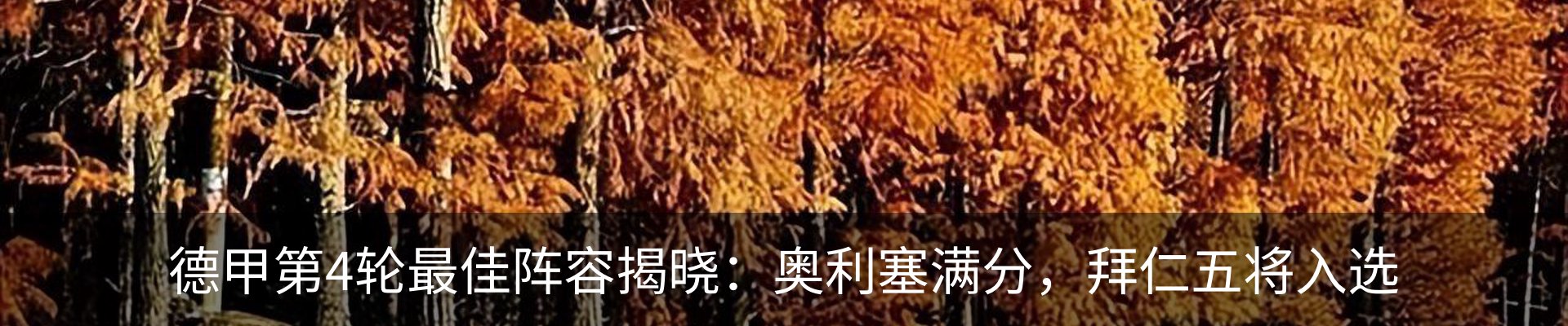 资讯动态