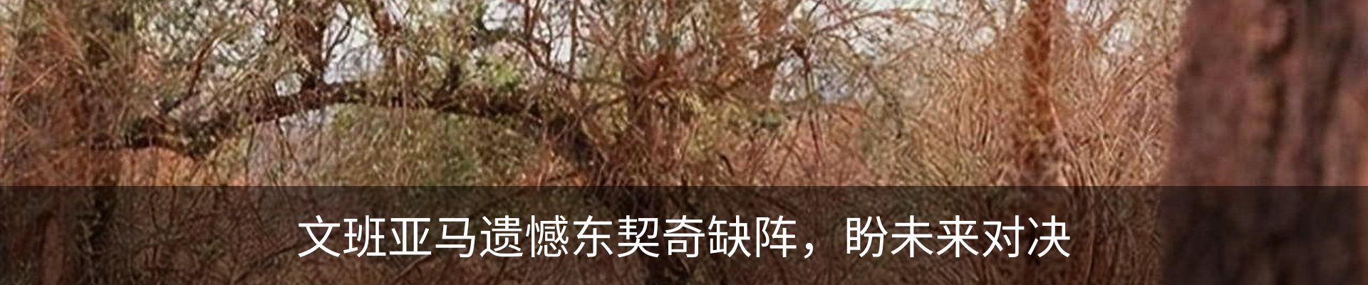 资讯动态
