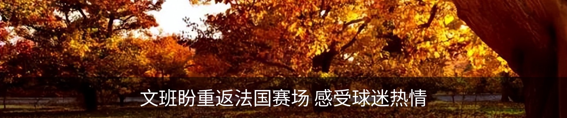 资讯动态