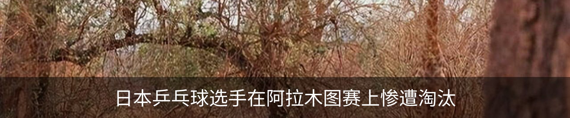 资讯动态