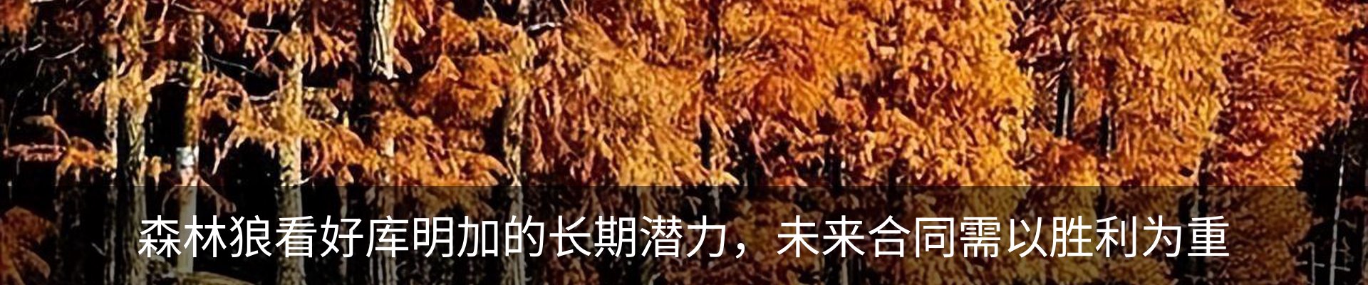 资讯动态