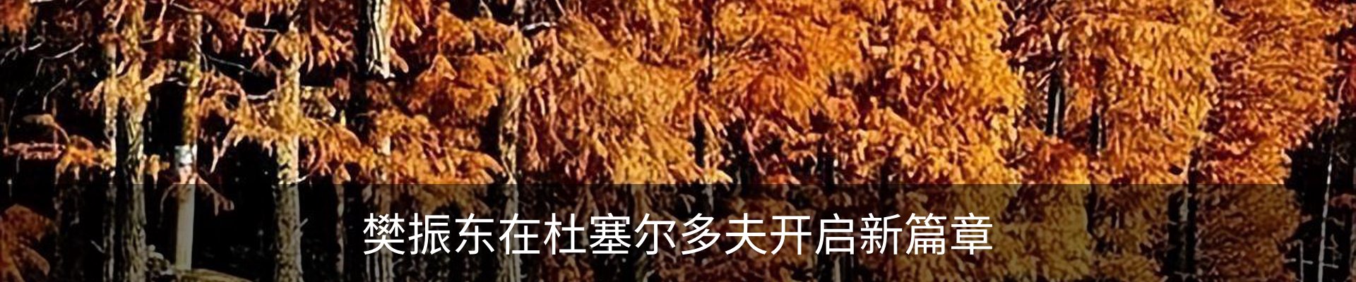 资讯动态