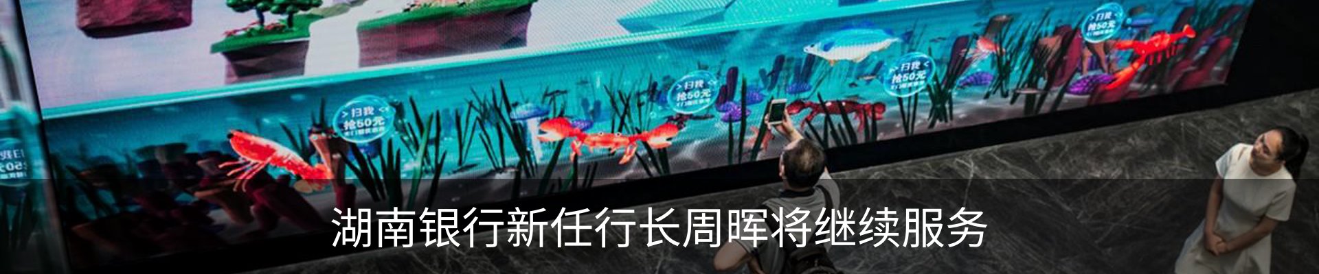 资讯动态