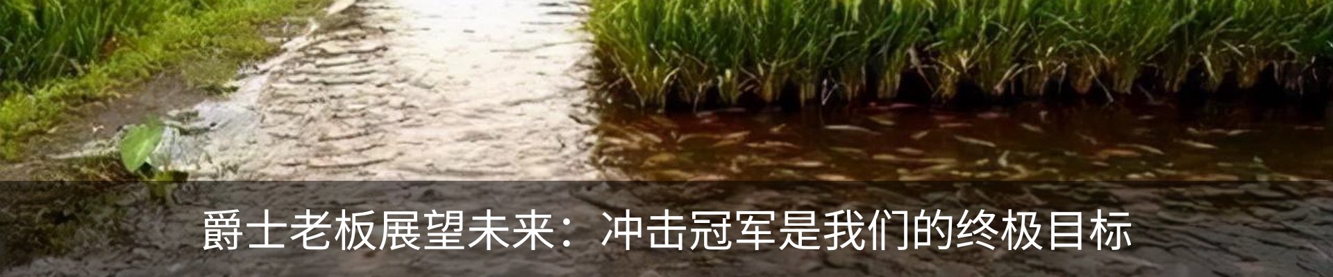 资讯动态