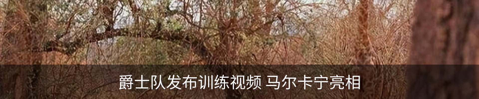 资讯动态