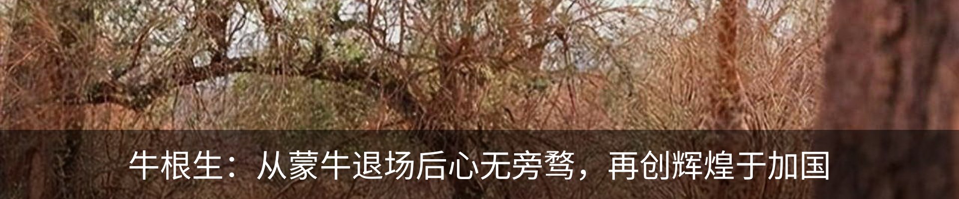 资讯动态