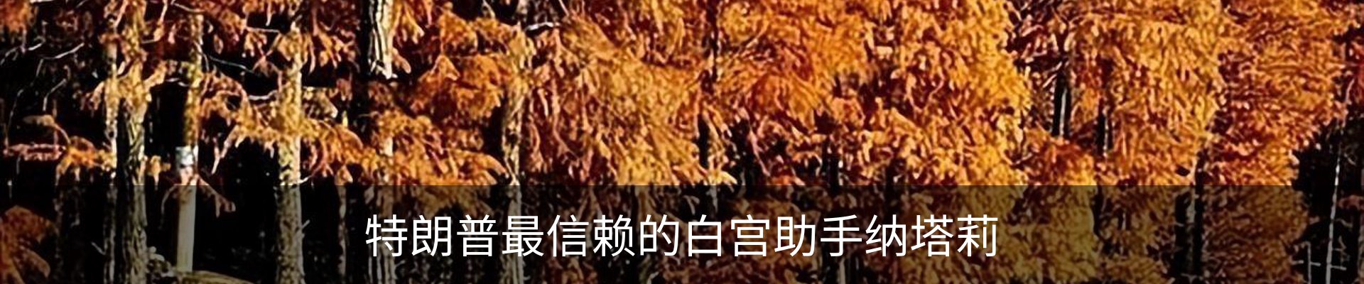 资讯动态