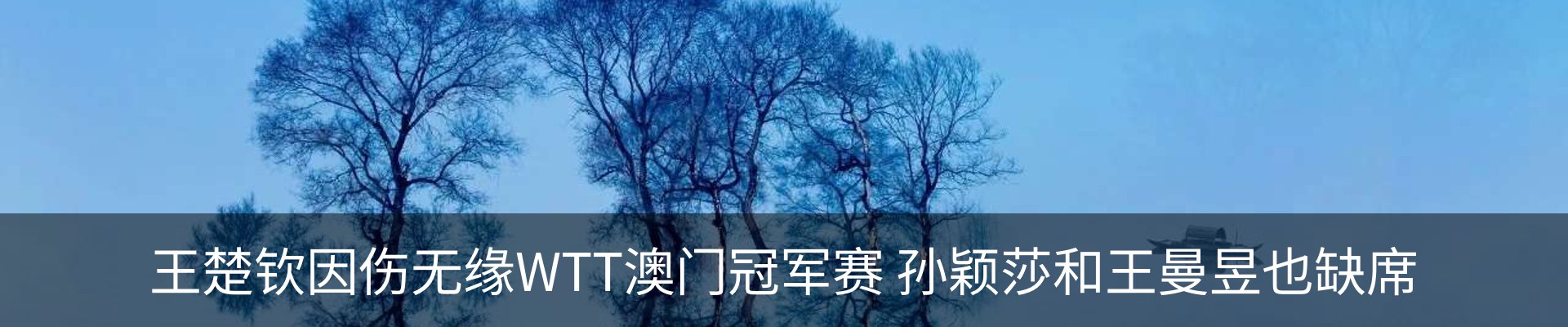 资讯动态