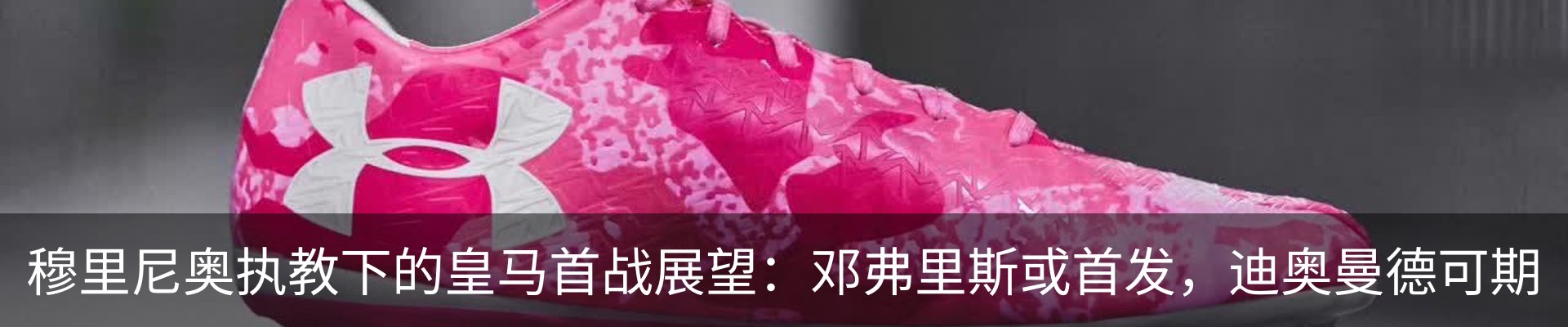 资讯动态