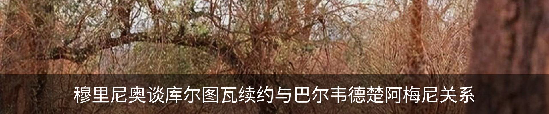 资讯动态