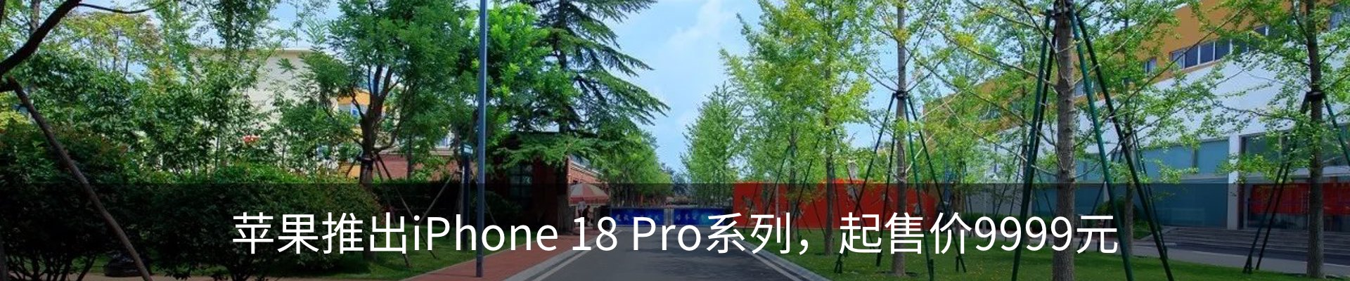 资讯动态