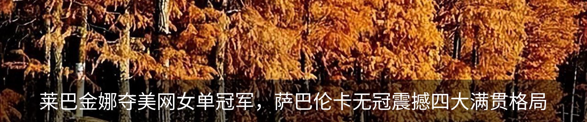 资讯动态
