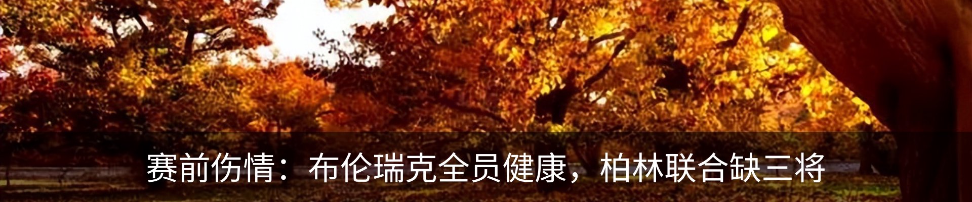 资讯动态