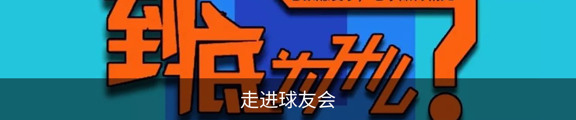 走进球友会