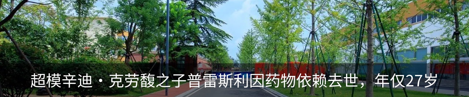 资讯动态