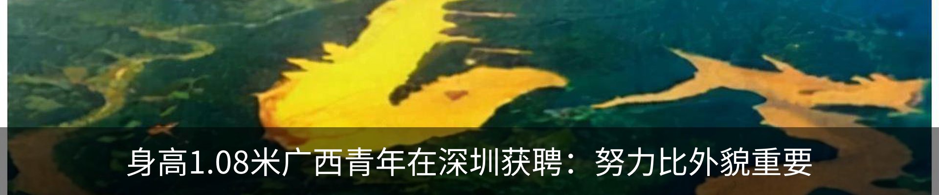资讯动态