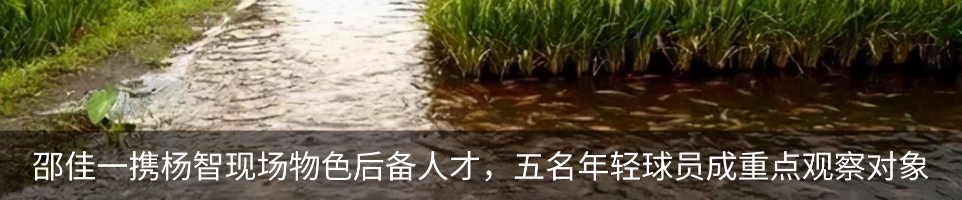 资讯动态