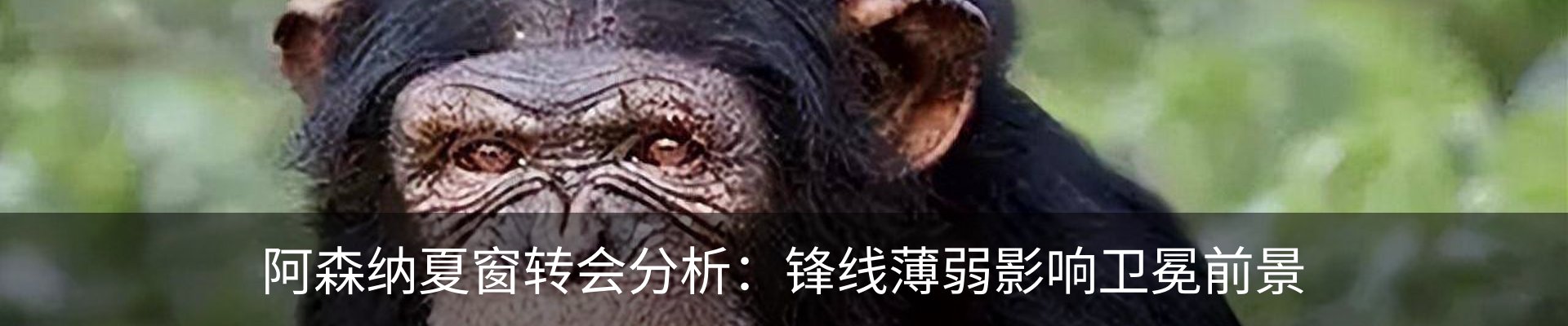 资讯动态