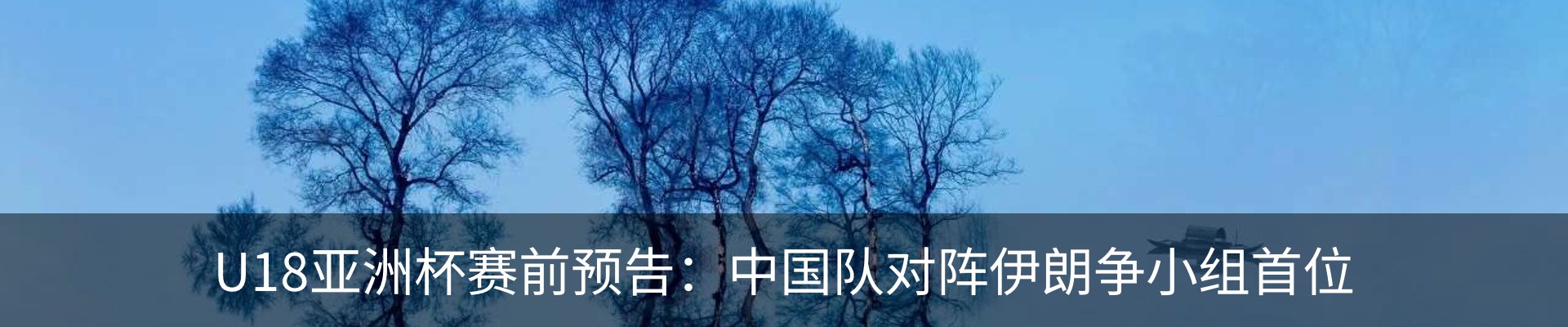 资讯动态